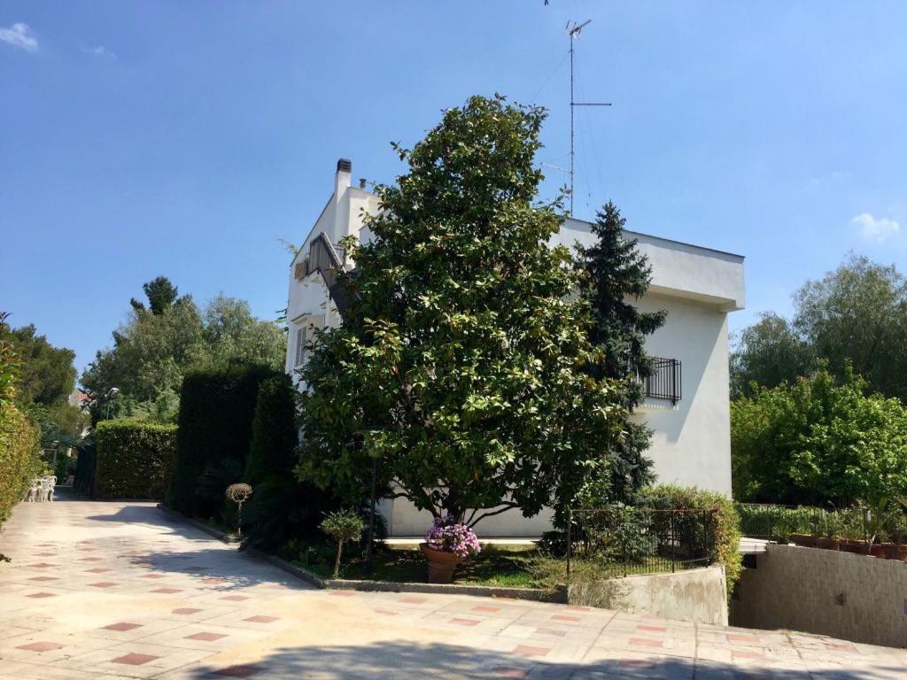B&B Amendola Bari Luaran gambar